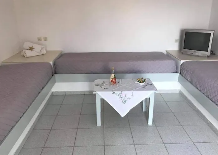 Grape Yard * Parikia (Paros)