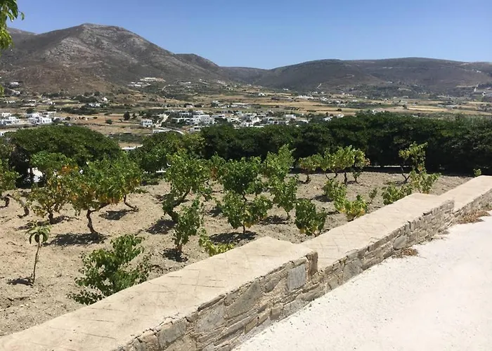 Grape Yard Holiday home Parikia (Paros)