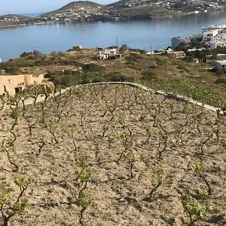 Grape Yard * Πάρος