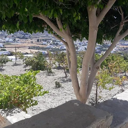 Сasa de vacaciones Grape Yard