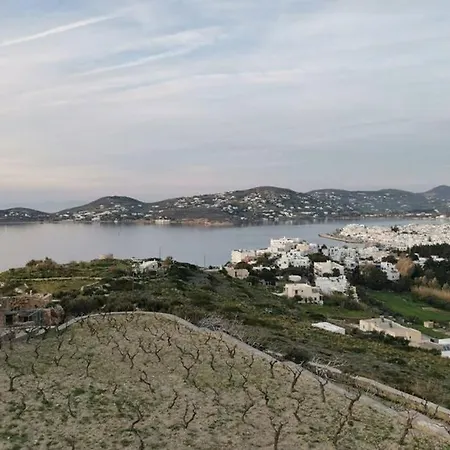 Σπίτι διακοπών Grape Yard *
