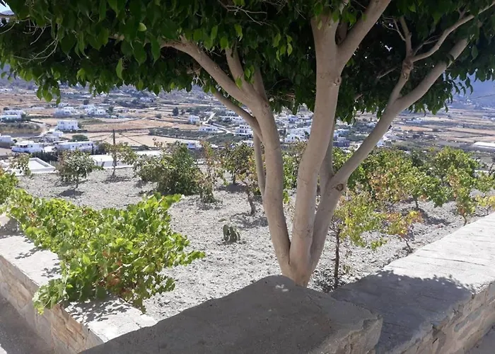 بيت للعطل Grape Yard