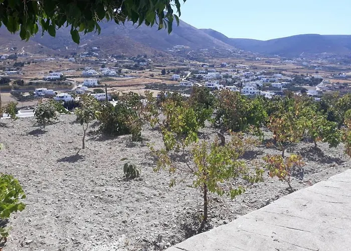 Grape Yard بيت للعطل